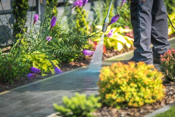 Best Soft Washing  in Wantagh, NY